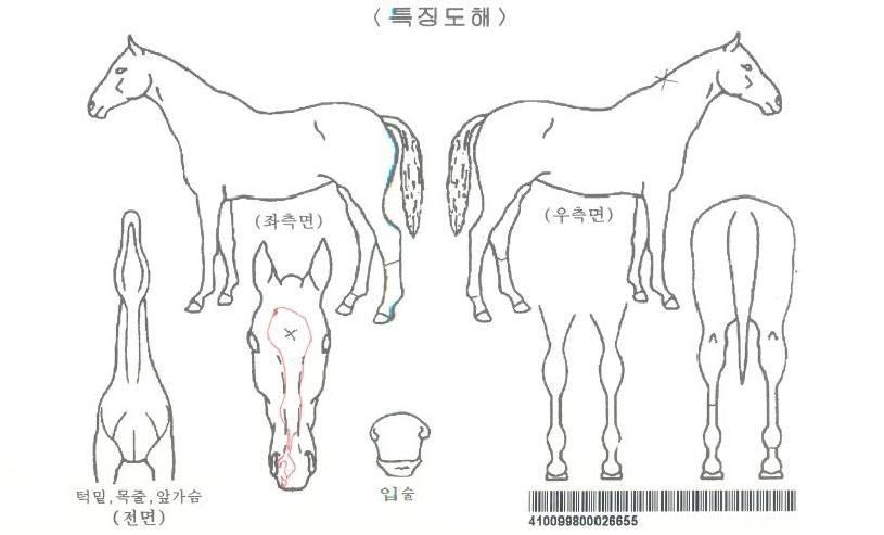 佺ÅÍÆ¼ÀÚ¸¶ÀÇ Ãø¸é,¿ì¸é,µÞ¸é,µÎ»ó,´Ù¸®ÀÇ Æ¯Â¡µµÇØ