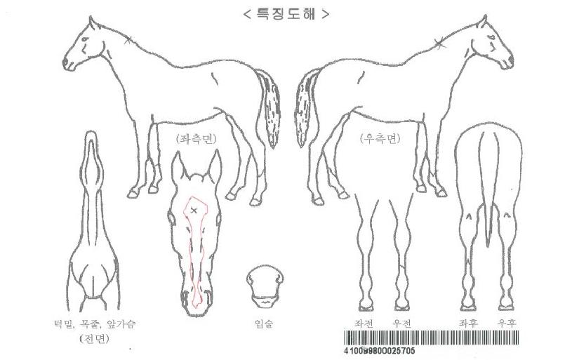 �����÷��ڸ��� ����,���,�޸�,�λ�,�ٸ��� Ư¡����