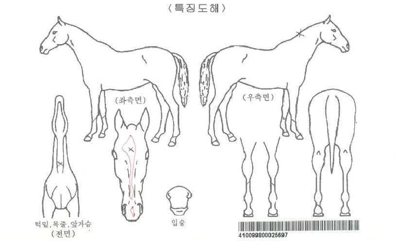 ���л����ڸ��� ����,���,�޸�,�λ�,�ٸ��� Ư¡����