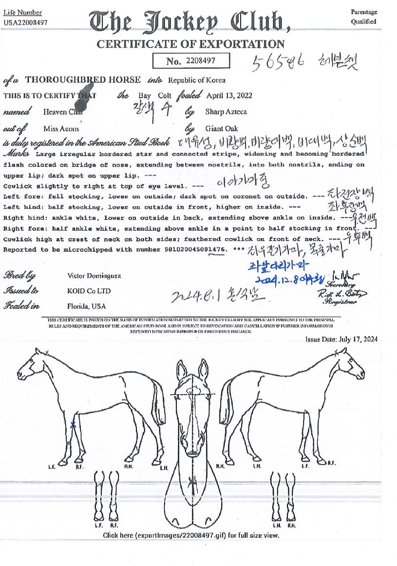 ���ê�� ����,���,�޸�,�λ�,�ٸ��� Ư¡����