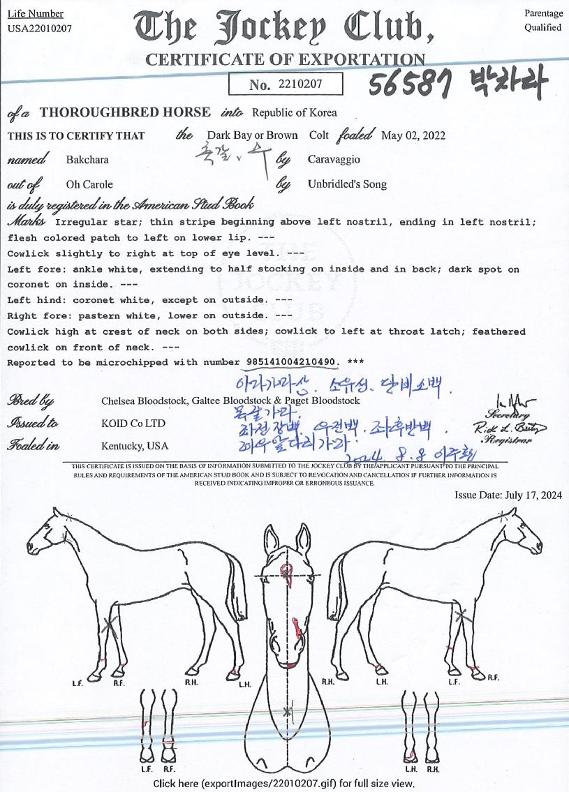 ¹ÚÂ÷¶óÀÇ Ãø¸é,¿ì¸é,µÞ¸é,µÎ»ó,´Ù¸®ÀÇ Æ¯Â¡µµÇØ