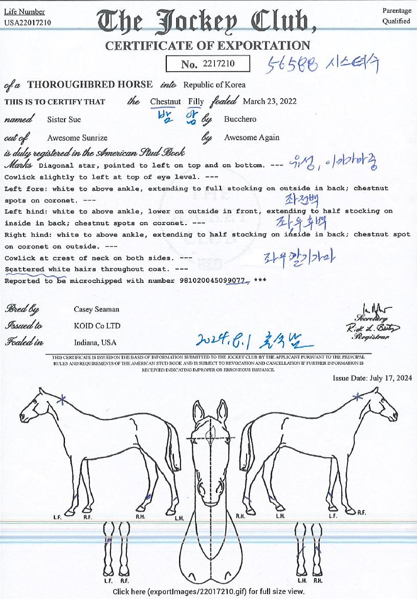 ����Ƽ����Ʈ�� ����,���,�޸�,�λ�,�ٸ��� Ư¡����