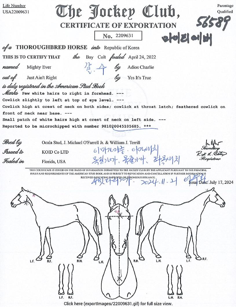 ����Ƽ������ ����,���,�޸�,�λ�,�ٸ��� Ư¡����