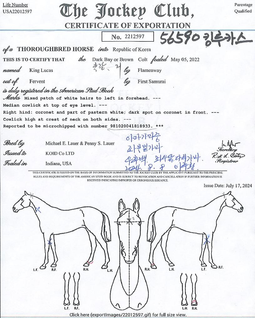 ŷ��ī���� ����,���,�޸�,�λ�,�ٸ��� Ư¡����