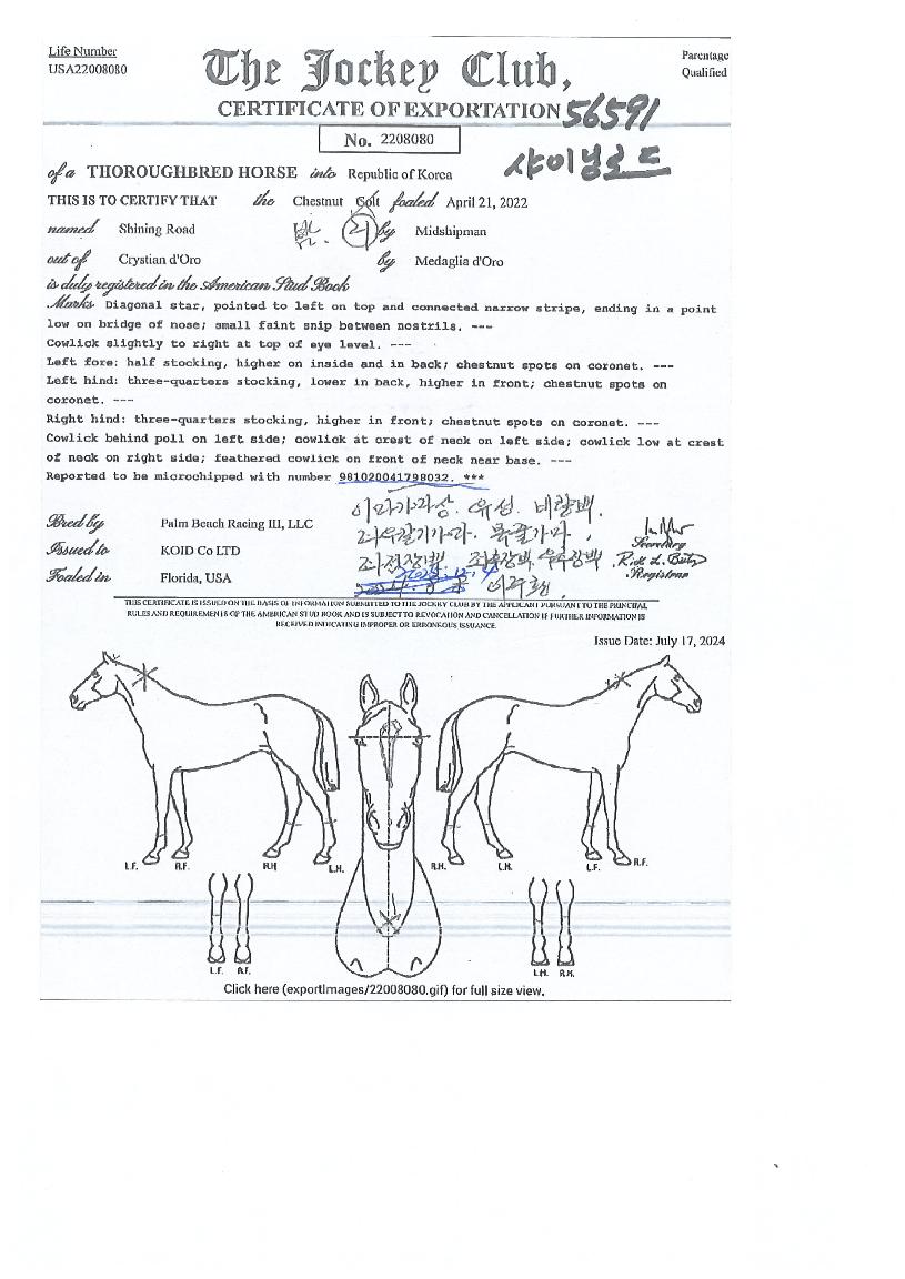 ���̴׷ε��� ����,���,�޸�,�λ�,�ٸ��� Ư¡����