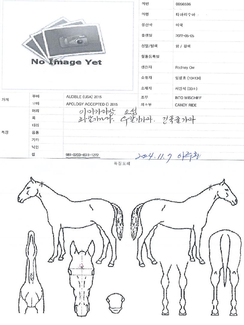 Ƽ¾Æ¶ó¼ö¾ÆÀÇ Ãø¸é,¿ì¸é,µÞ¸é,µÎ»ó,´Ù¸®ÀÇ Æ¯Â¡µµÇØ