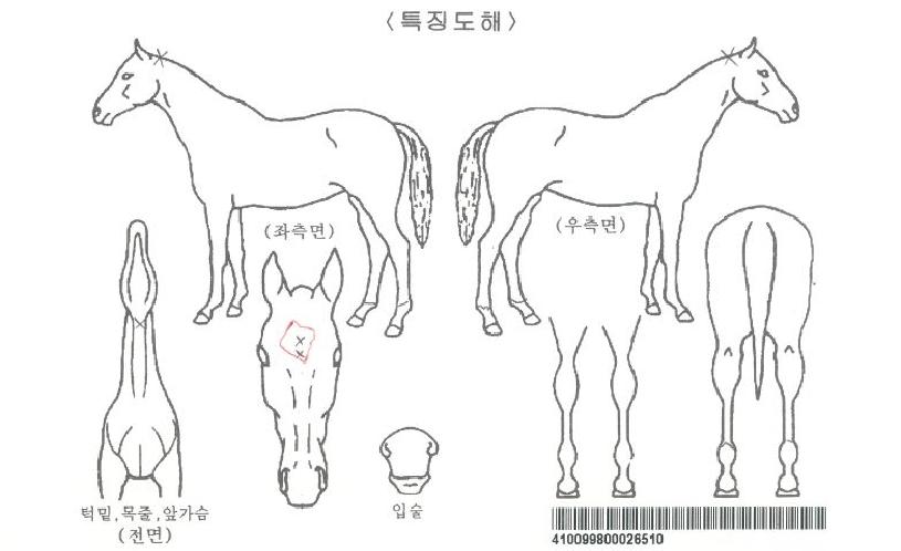 ¹ÂÁ÷¹Ú½ºÀÚ¸¶ÀÇ Ãø¸é,¿ì¸é,µÞ¸é,µÎ»ó,´Ù¸®ÀÇ Æ¯Â¡µµÇØ