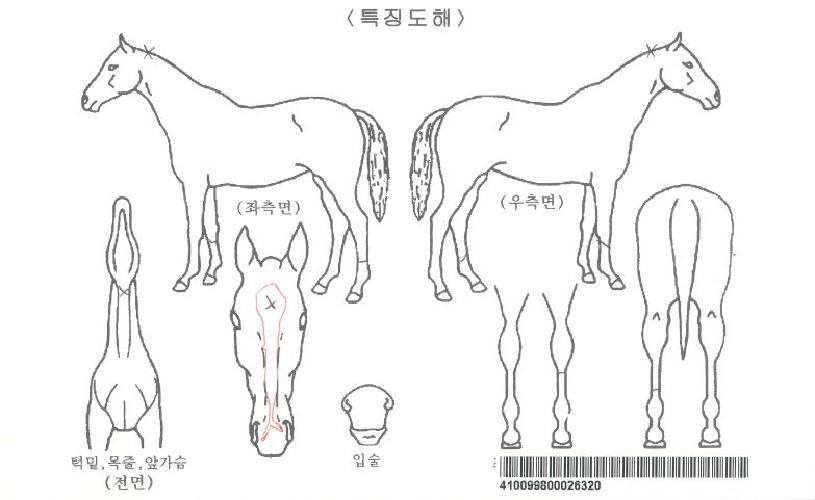 ½ºÆÄÀ̽ºÀεðÀÚ¸¶ÀÇ Ãø¸é,¿ì¸é,µÞ¸é,µÎ»ó,´Ù¸®ÀÇ Æ¯Â¡µµÇØ