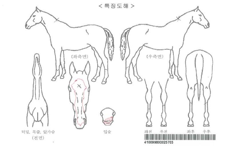 Ƽ�����ڸ��� ����,���,�޸�,�λ�,�ٸ��� Ư¡����