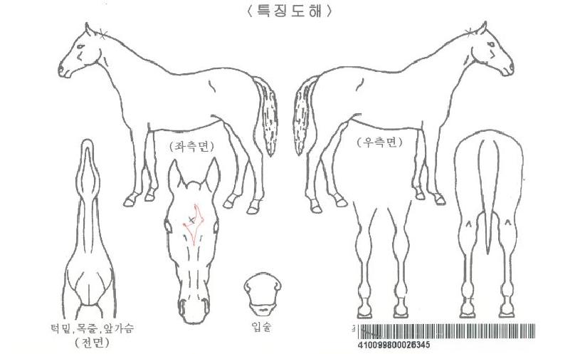 ���������ڸ��� ����,���,�޸�,�λ�,�ٸ��� Ư¡����