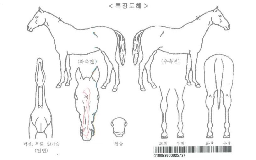 ���ͽ�ƿ������ ����,���,�޸�,�λ�,�ٸ��� Ư¡����