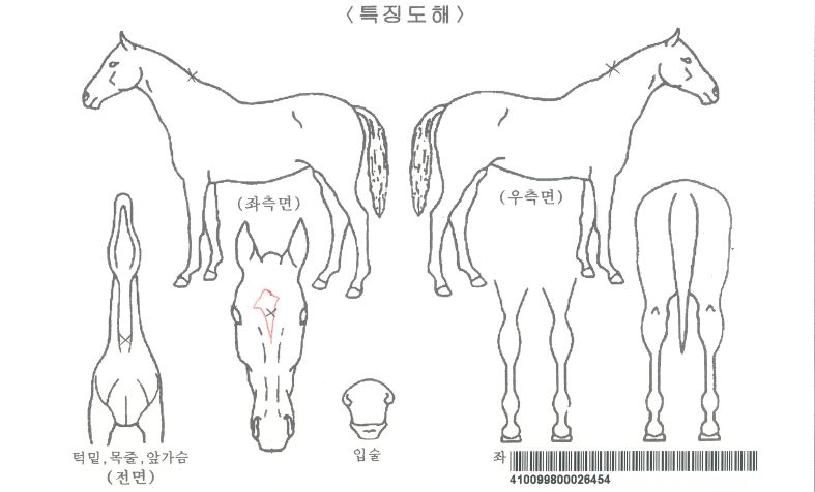 ��巯���� ����,���,�޸�,�λ�,�ٸ��� Ư¡����