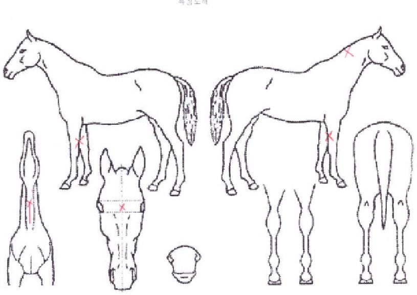 ä��ĭ�� ����,���,�޸�,�λ�,�ٸ��� Ư¡����