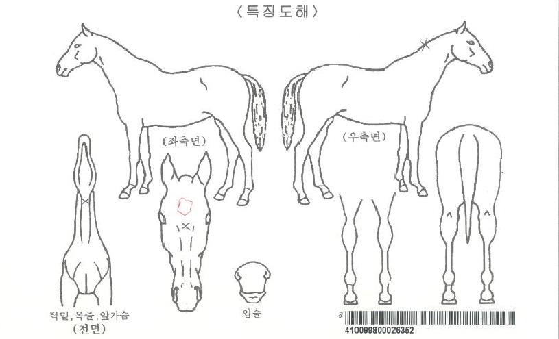 ���������ڸ��� ����,���,�޸�,�λ�,�ٸ��� Ư¡����