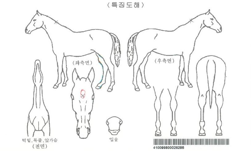 �ٽ��λ��ڸ��� ����,���,�޸�,�λ�,�ٸ��� Ư¡����