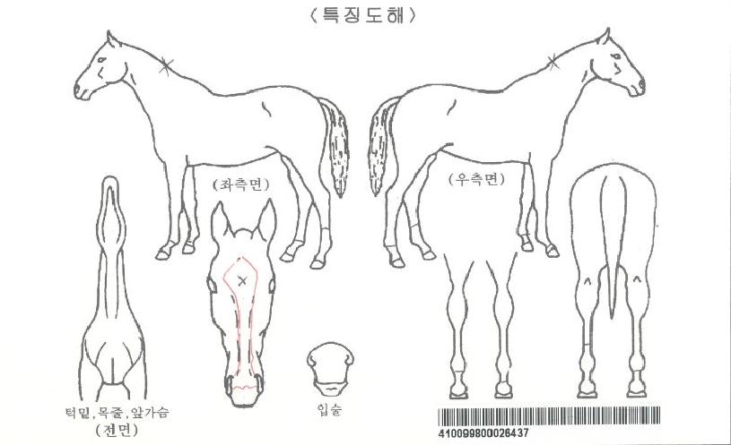 �긮��Ÿ�Է��� ����,���,�޸�,�λ�,�ٸ��� Ư¡����