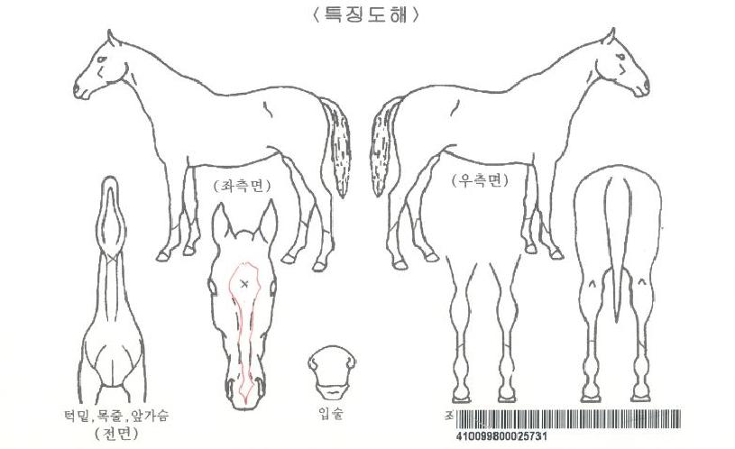 ��ũ�����ڸ��� ����,���,�޸�,�λ�,�ٸ��� Ư¡����