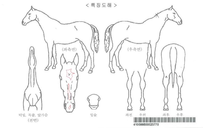 ��������Ÿ�ڸ��� ����,���,�޸�,�λ�,�ٸ��� Ư¡����