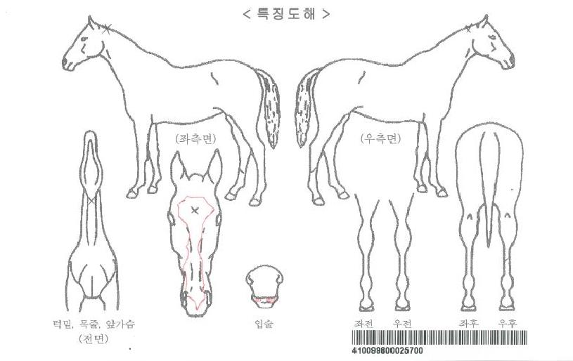 ���ĺ�ö��ڸ��� ����,���,�޸�,�λ�,�ٸ��� Ư¡����