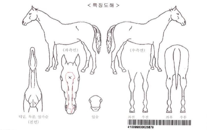 ������ŷ���ڸ��� ����,���,�޸�,�λ�,�ٸ��� Ư¡����