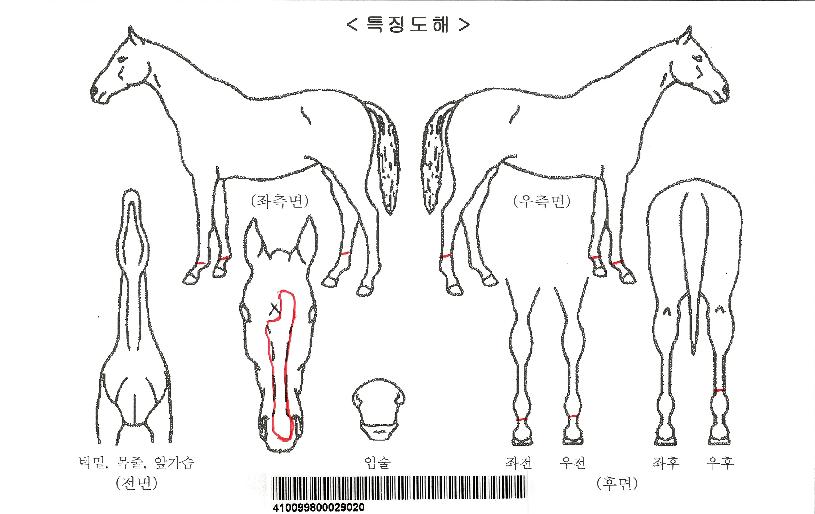 Å¥ÇǵåÆÄ¿öÀÇ Ãø¸é,¿ì¸é,µÞ¸é,µÎ»ó,´Ù¸®ÀÇ Æ¯Â¡µµÇØ