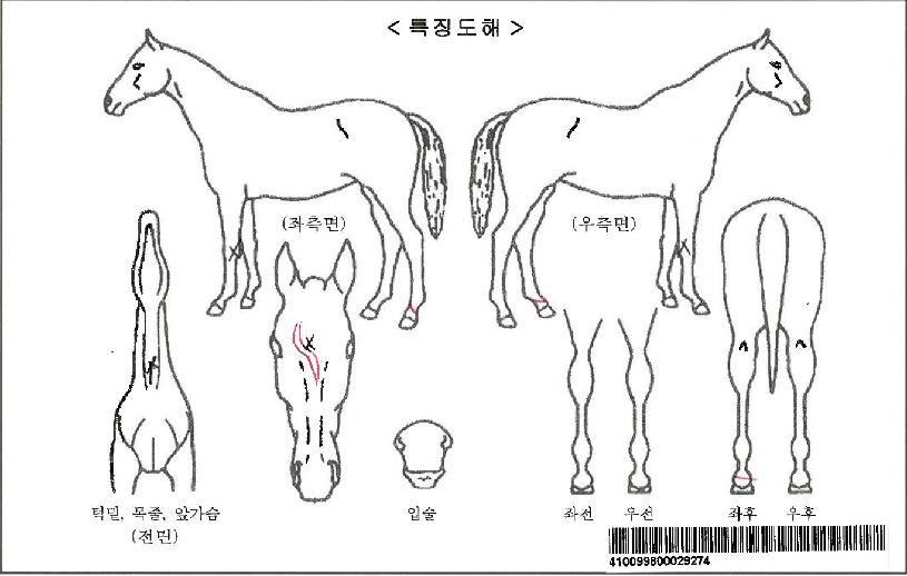 �긮���ν����� ����,���,�޸�,�λ�,�ٸ��� Ư¡����