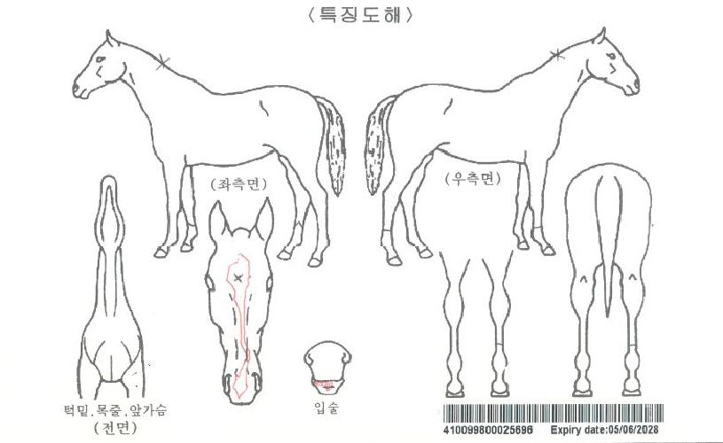 ´ÚÅÍ·³ÇÁÀÇ Ãø¸é,¿ì¸é,µÞ¸é,µÎ»ó,´Ù¸®ÀÇ Æ¯Â¡µµÇØ