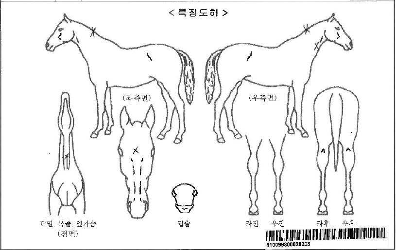 ±Ýºû¿ÃÇÏÆ®ÀÇ Ãø¸é,¿ì¸é,µÞ¸é,µÎ»ó,´Ù¸®ÀÇ Æ¯Â¡µµÇØ