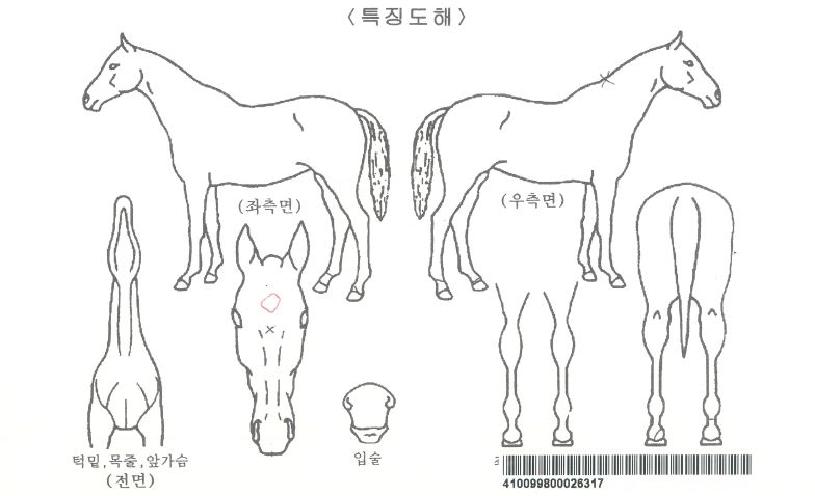 �ؿ�����ڸ��� ����,���,�޸�,�λ�,�ٸ��� Ư¡����