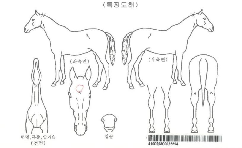 ¿¥Á¦ÀÌÄýÀÚ¸¶ÀÇ Ãø¸é,¿ì¸é,µÞ¸é,µÎ»ó,´Ù¸®ÀÇ Æ¯Â¡µµÇØ