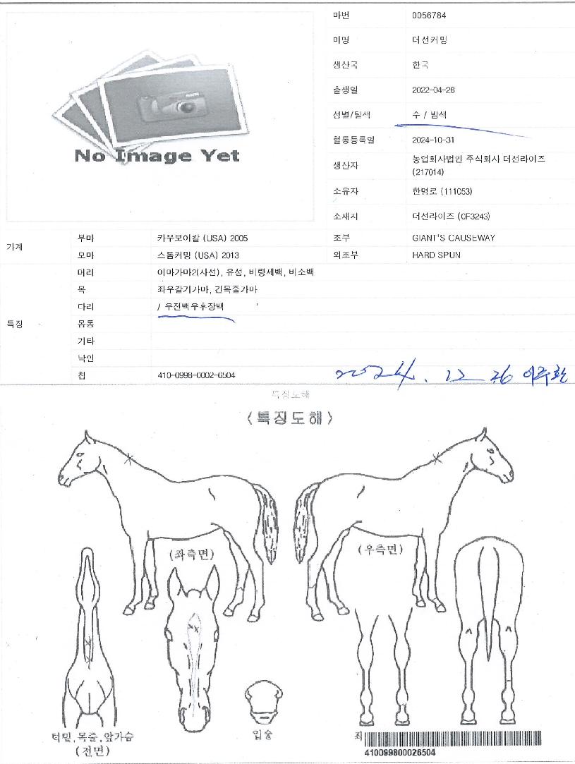 ´õ¼±Ä¿¹ÖÀÇ Ãø¸é,¿ì¸é,µÞ¸é,µÎ»ó,´Ù¸®ÀÇ Æ¯Â¡µµÇØ
