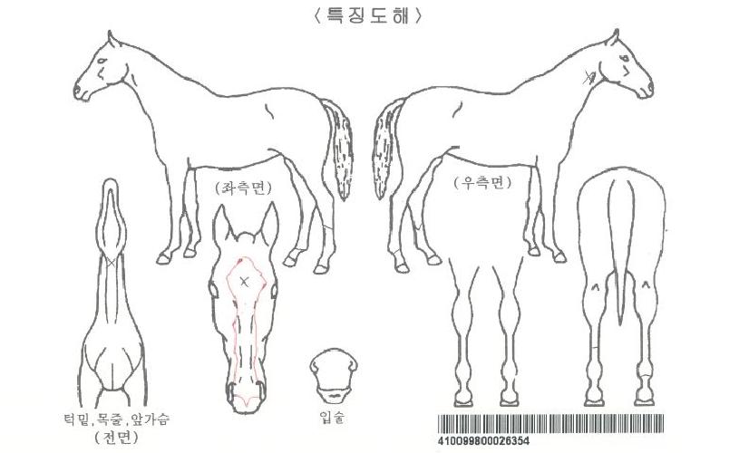 �������ο��ڸ��� ����,���,�޸�,�λ�,�ٸ��� Ư¡����