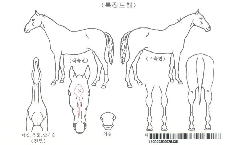 ���ƽý������� ����,���,�޸�,�λ�,�ٸ��� Ư¡����