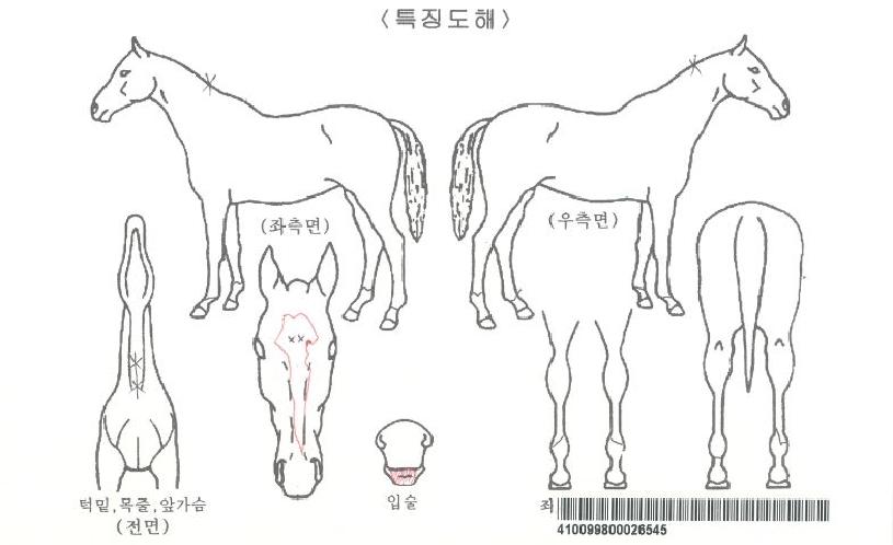 ������ڸ��� ����,���,�޸�,�λ�,�ٸ��� Ư¡����