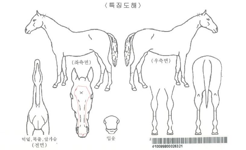 ������������ ����,���,�޸�,�λ�,�ٸ��� Ư¡����