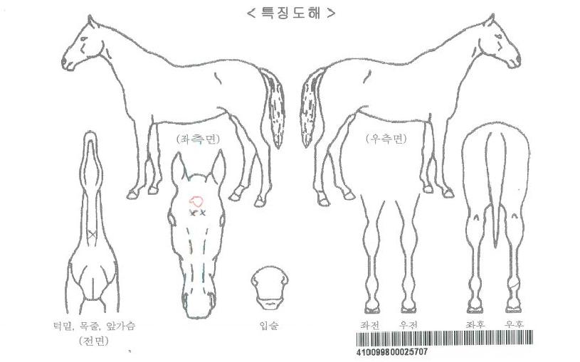 ��ũ������ ����,���,�޸�,�λ�,�ٸ��� Ư¡����