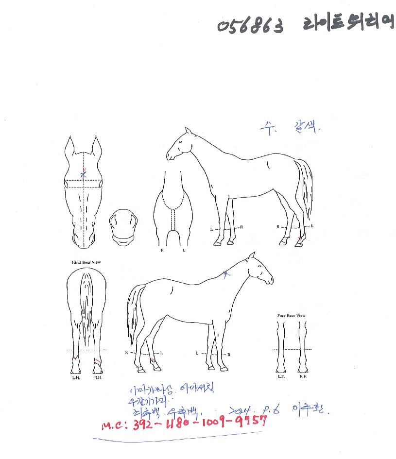 ¶óÀÌÆ®¿ö¸®¾îÀÇ Ãø¸é,¿ì¸é,µÞ¸é,µÎ»ó,´Ù¸®ÀÇ Æ¯Â¡µµÇØ