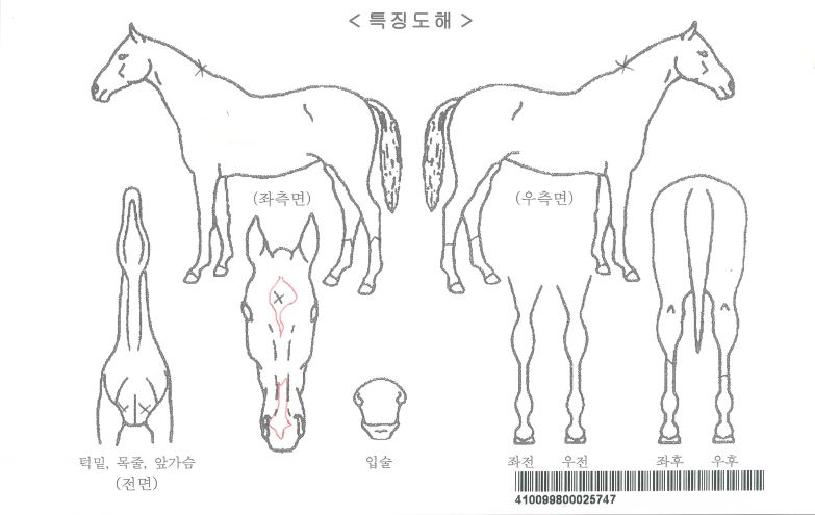 ť��Ʈ���ڸ��� ����,���,�޸�,�λ�,�ٸ��� Ư¡����