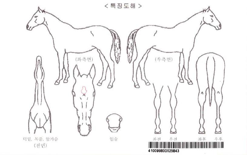 ��������ġ�ڸ��� ����,���,�޸�,�λ�,�ٸ��� Ư¡����