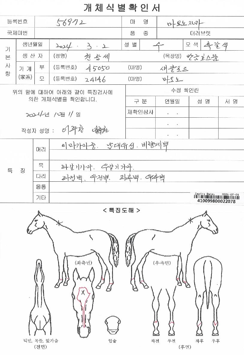 ¸¶¿À³ëÀÚ¸¶ÀÇ Ãø¸é,¿ì¸é,µÞ¸é,µÎ»ó,´Ù¸®ÀÇ Æ¯Â¡µµÇØ