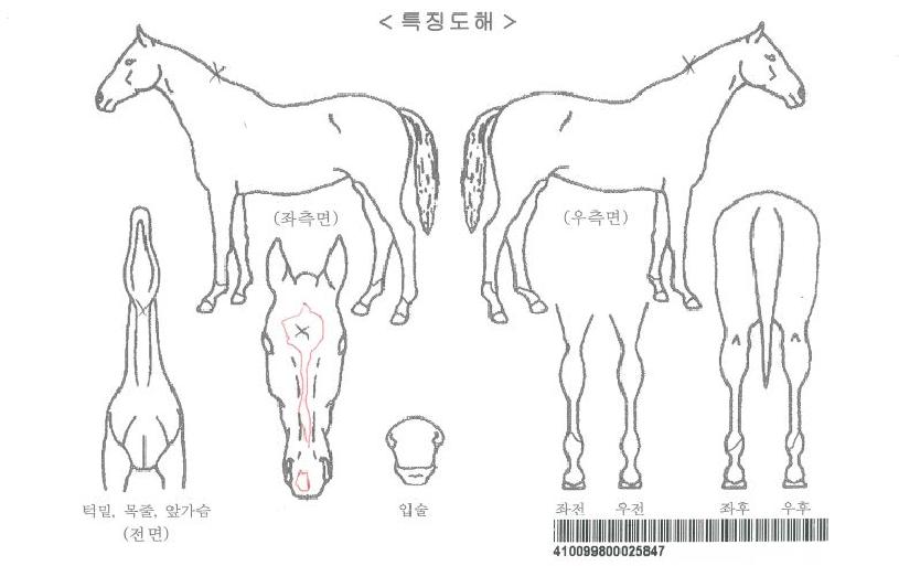 ��Ÿ��ƽ�����ڸ��� ����,���,�޸�,�λ�,�ٸ��� Ư¡����