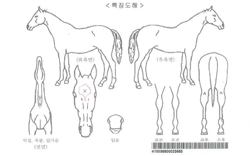 ��Ÿ��ƽ��ġ�� ����,���,�޸�,�λ�,�ٸ��� Ư¡����