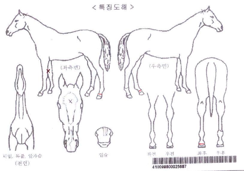 ��Ÿ��ƽĸƾ�� ����,���,�޸�,�λ�,�ٸ��� Ư¡����