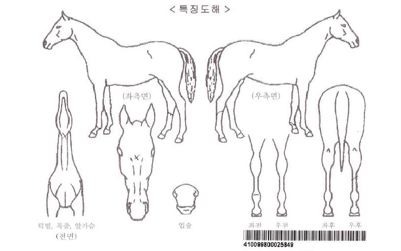 �����ũ�ڸ��� ����,���,�޸�,�λ�,�ٸ��� Ư¡����