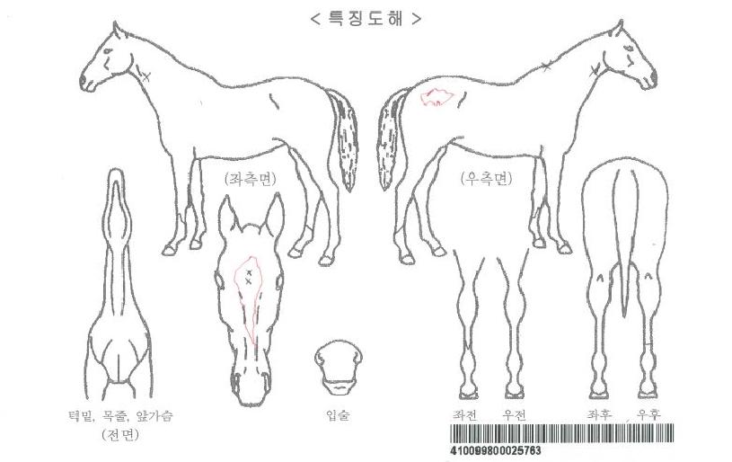 ���������ڸ��� ����,���,�޸�,�λ�,�ٸ��� Ư¡����