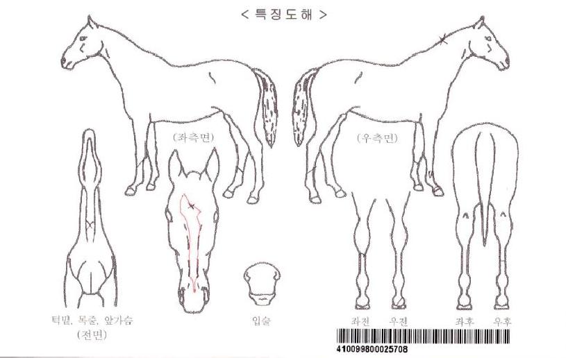 ����Ʈ������ ����,���,�޸�,�λ�,�ٸ��� Ư¡����