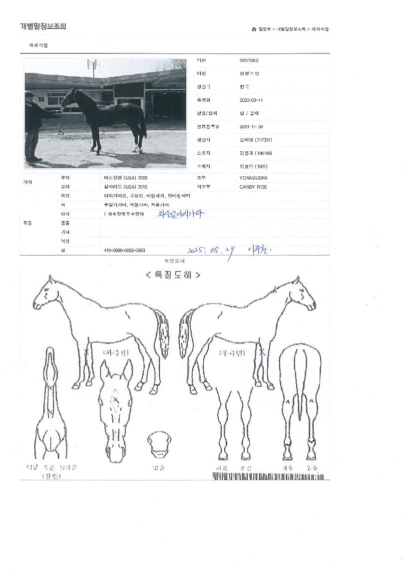 ¿øÆò½ºÅ¶ÀÇ Ãø¸é,¿ì¸é,µÞ¸é,µÎ»ó,´Ù¸®ÀÇ Æ¯Â¡µµÇØ