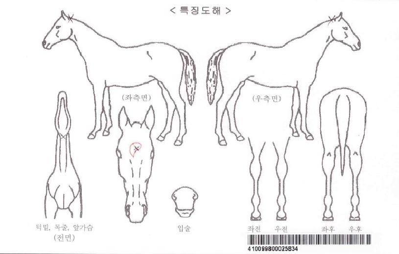 ���̽��Ŀ��� ����,���,�޸�,�λ�,�ٸ��� Ư¡����