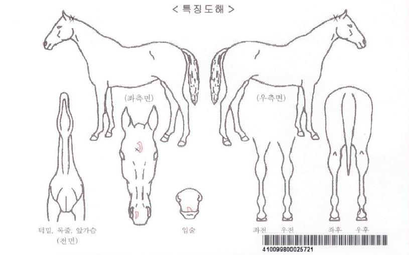 ���������������ڸ��� ����,���,�޸�,�λ�,�ٸ��� Ư¡����