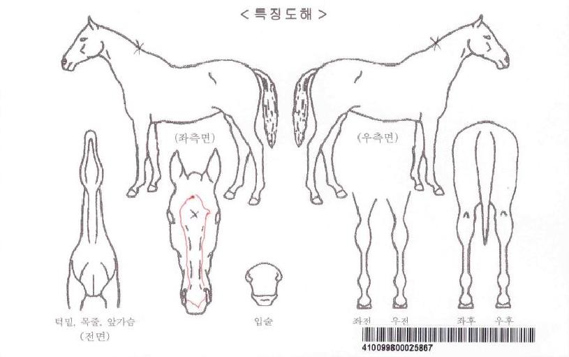 ���������ڸ��� ����,���,�޸�,�λ�,�ٸ��� Ư¡����